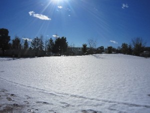 IMG_2215