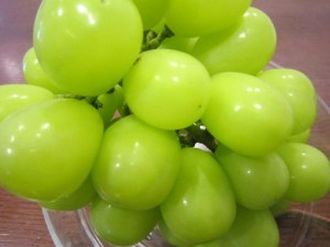 ブログシャインマスカット