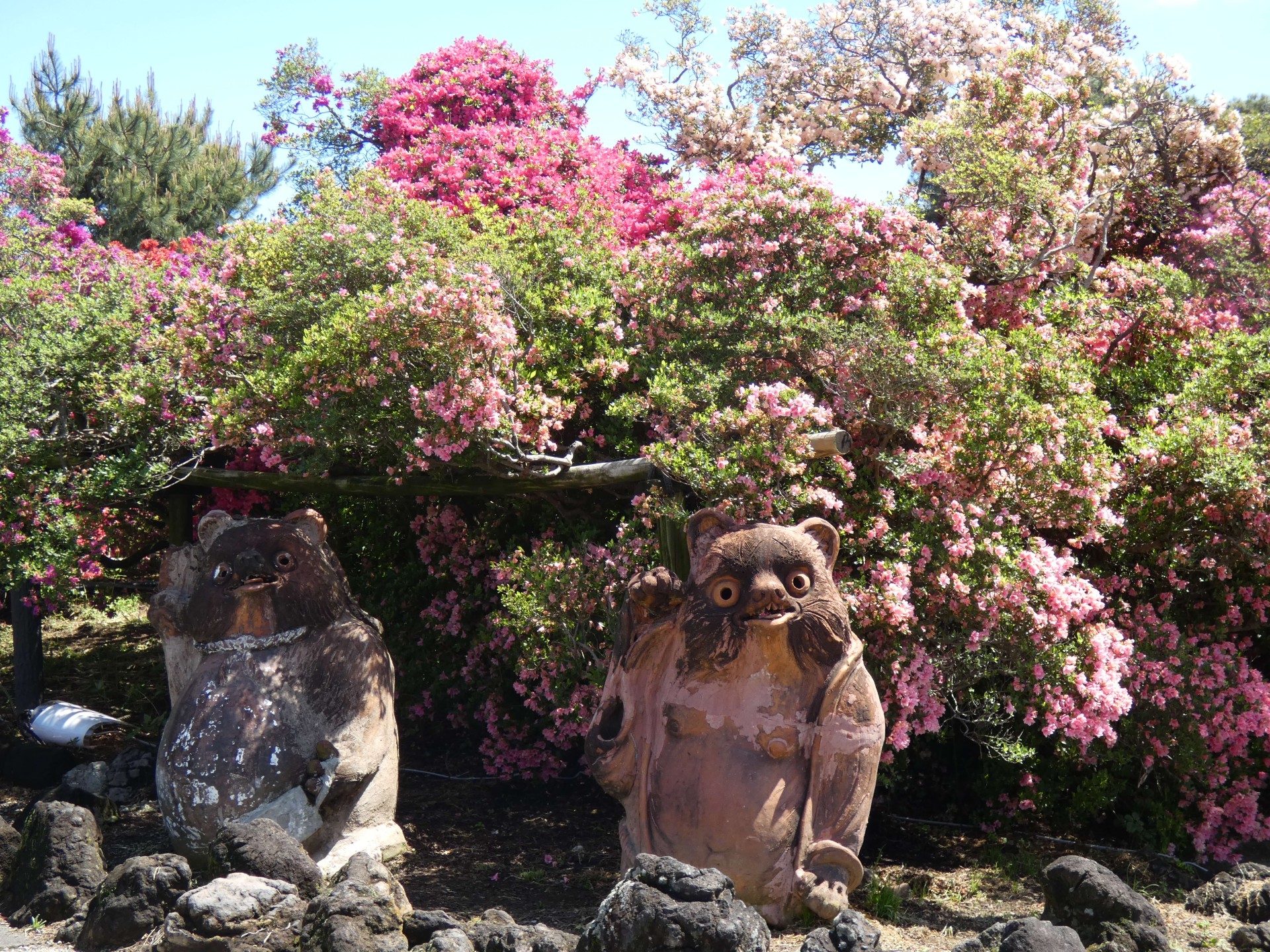 つつじが岡公園